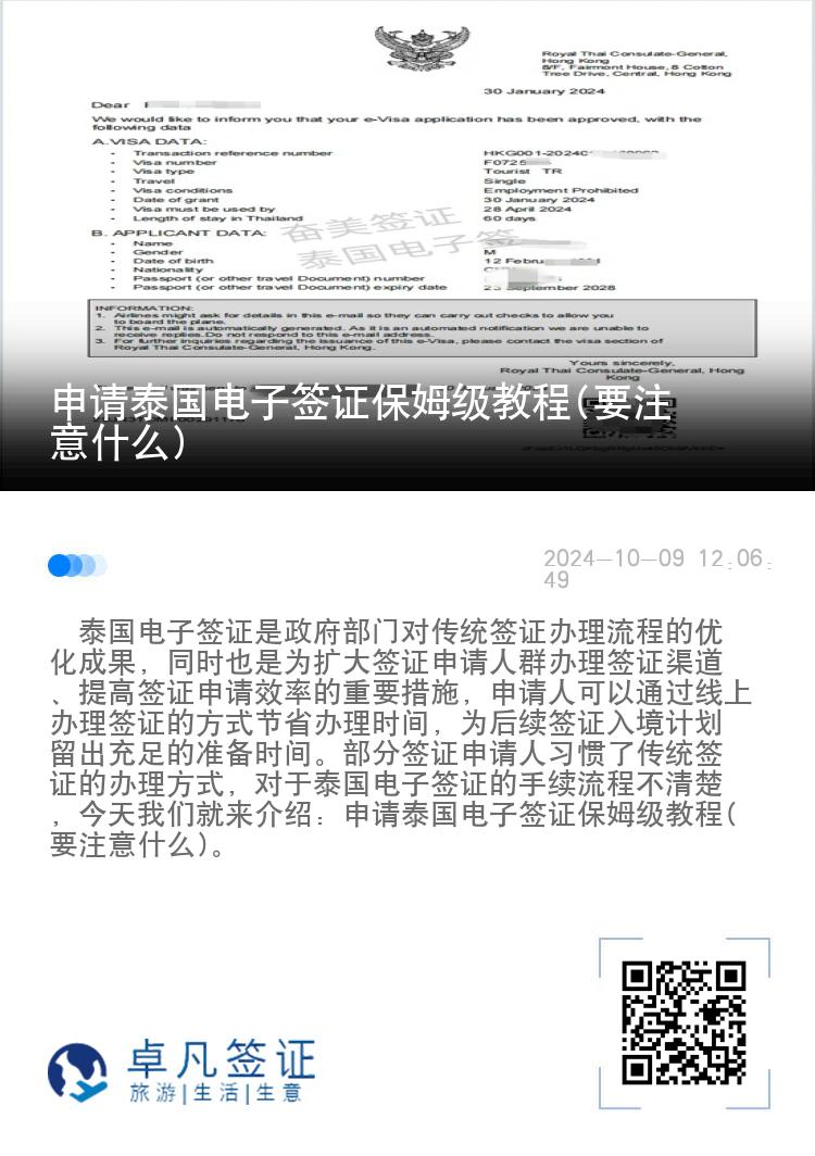 申請(qǐng)?zhí)﹪?guó)電子簽證保姆級(jí)教程(要注意什么)